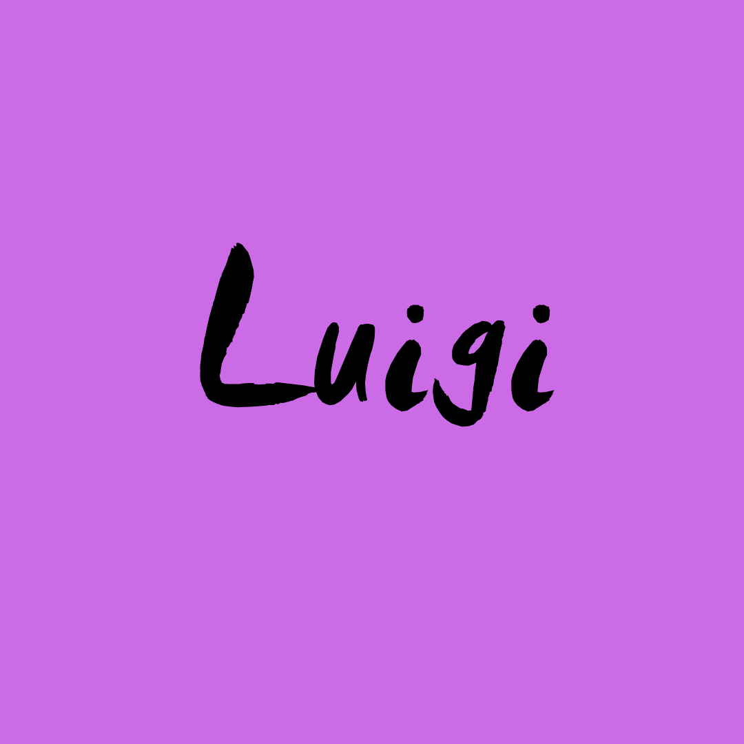 Read more about the article Luigi