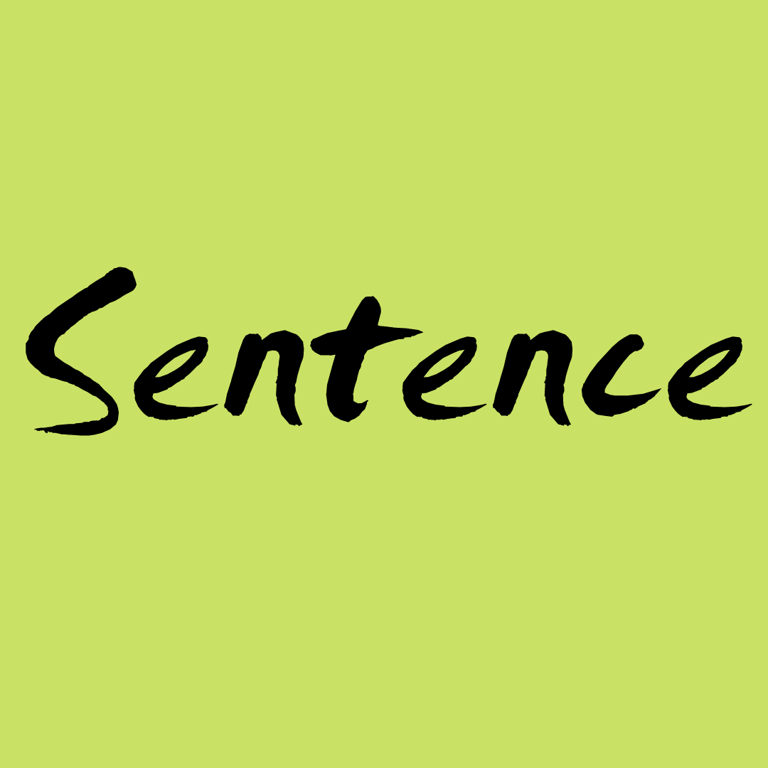Read more about the article Sentence