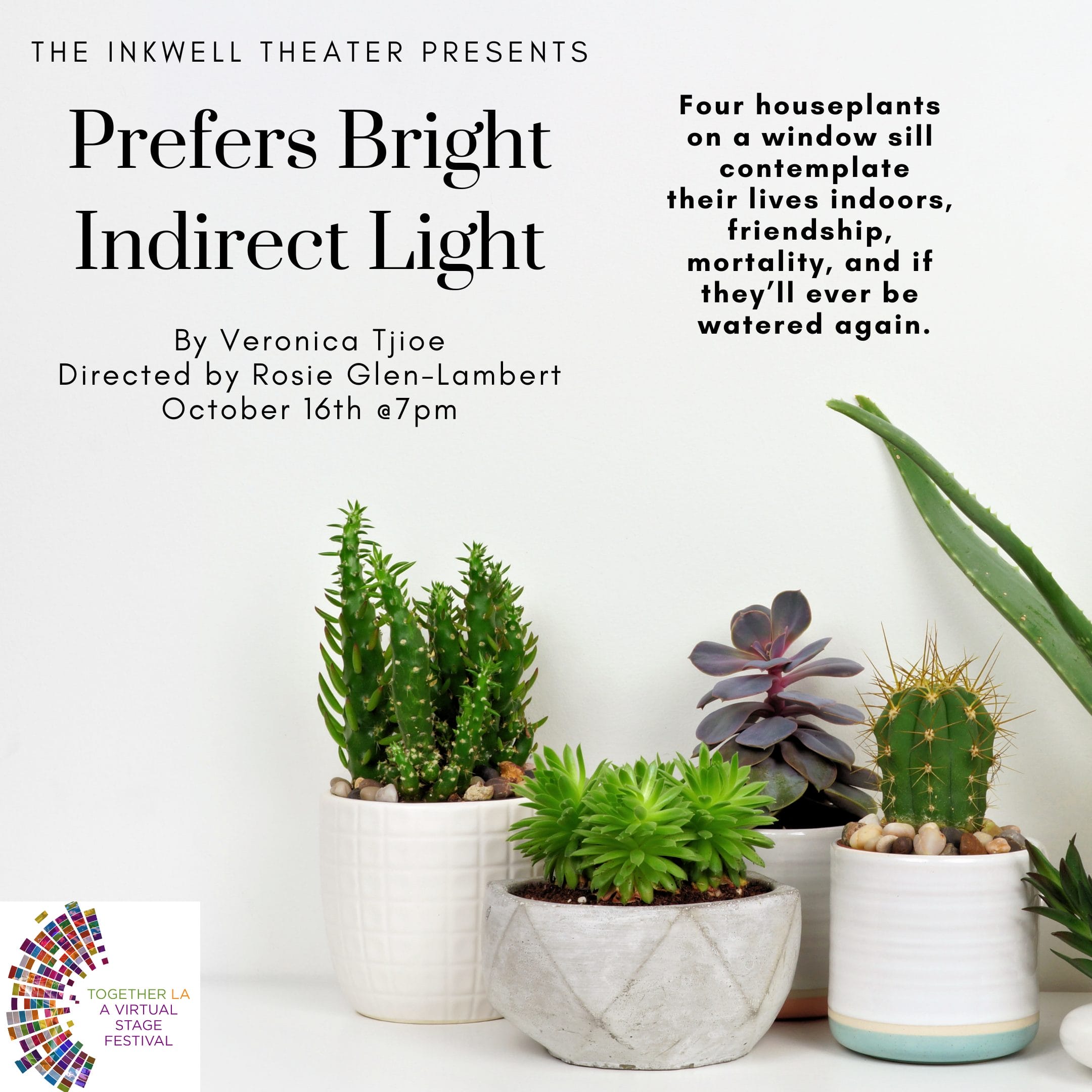 Prefers Bright Indirect Light